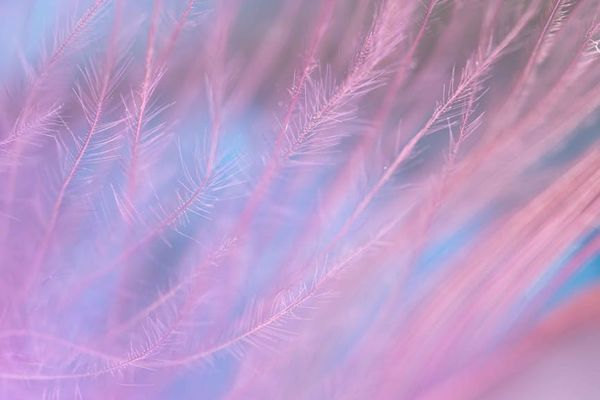 A symbolic image with question marks and soft light.